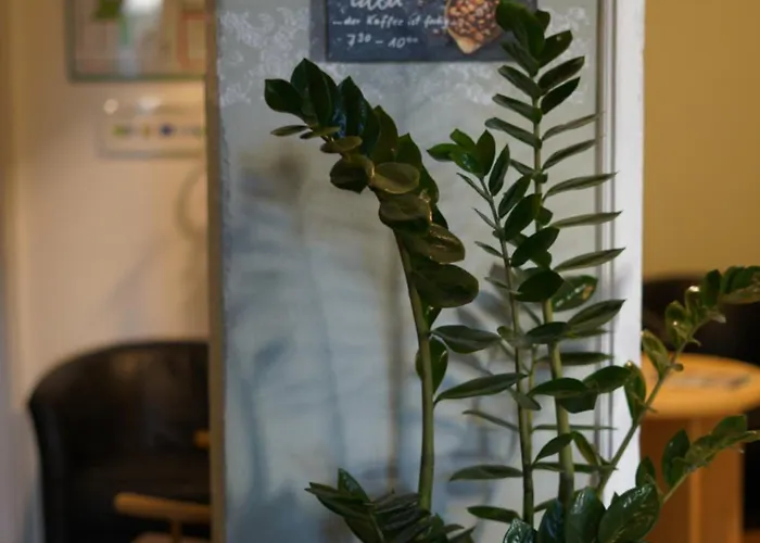 Gaestehaus Lisakowski Am Brautwiesenpark ゲルリッツ